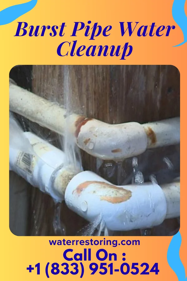 Burst Pipe Water Cleanup in Athens, TN