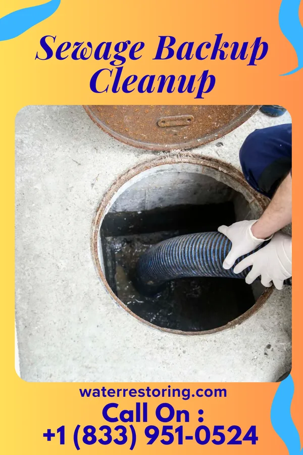 Sewage Backup Cleanup in Athens, TN