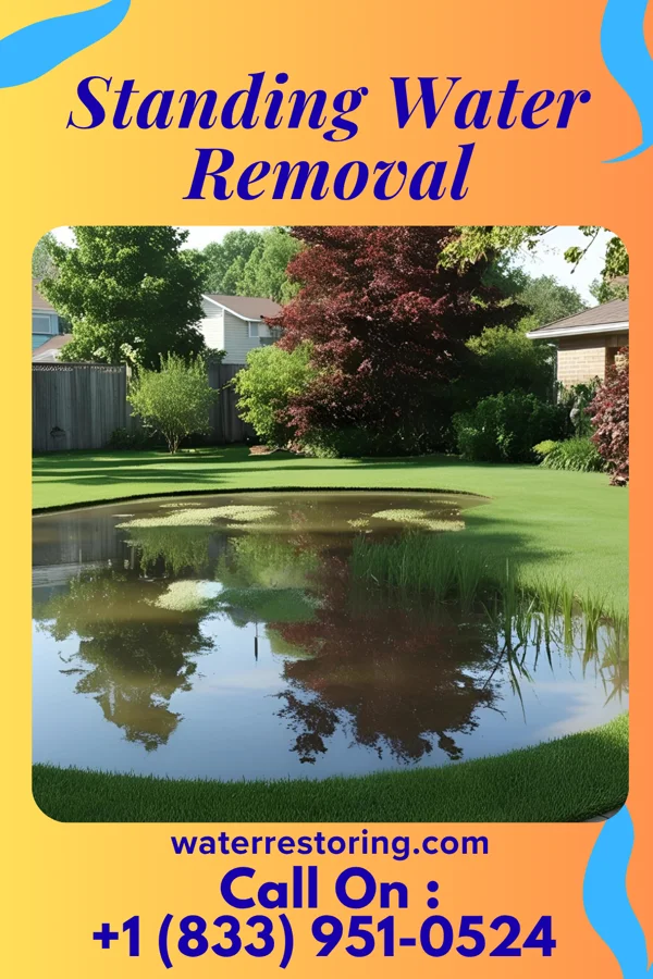 Standing Water Removal in Athens, TN